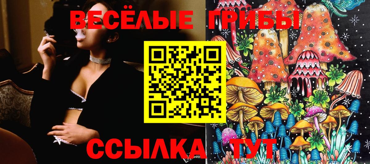 Галлюциногенные грибы GOLDEN TEACHER  Псилоцибиновые грибы прущие грибы  Валуйки  Вход с VPN 